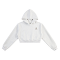 Discipline Over Motivation Cropped Hoodie — Grey, Tan Print
